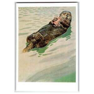 Vintage Russian Sea Otter Postcard - V.A. Gorbatov Wildlife Art 1990
